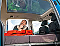 Narziss ist sich sicher: Das Glasdach ist ein echtes Highlight des aktuellen VW Caddy