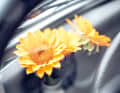 Der Blumenschmuck im Cockpit ist zeitgenössisch. Passende Vasen gab es im Zubehör
