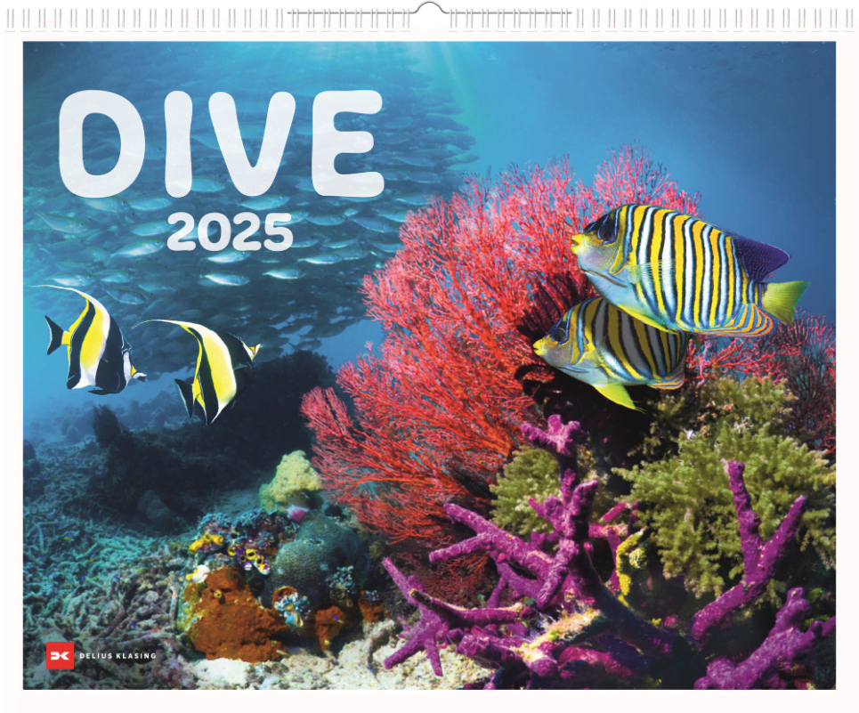 Dive 2025  Delius Klasing SHOP