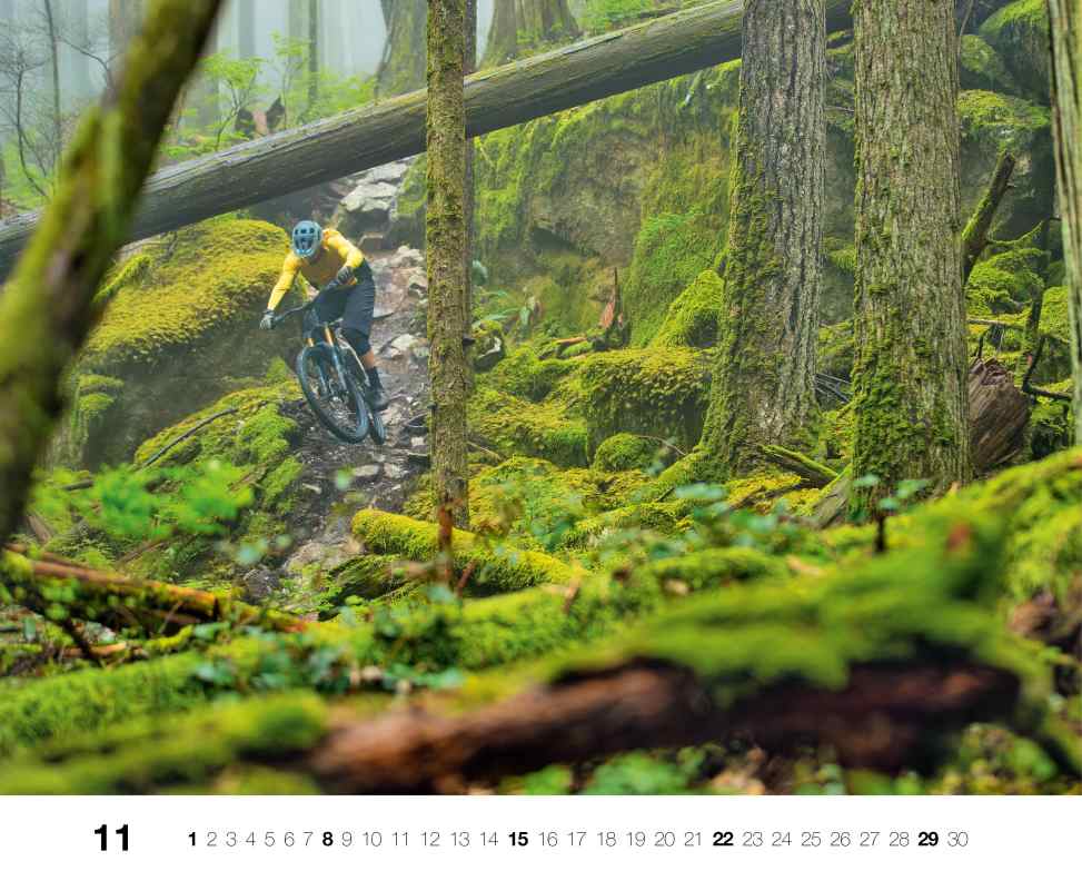 Bild 12