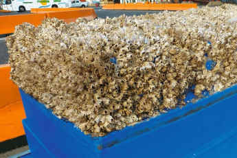 Water resistance due to fouling - BRAKED OUT