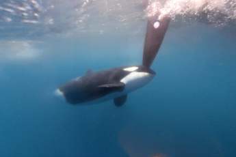 „Das Problem verschwindet nicht – es werden eher mehr"