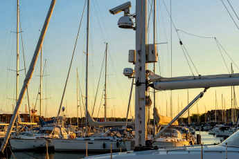 Big Brother sur le ponton