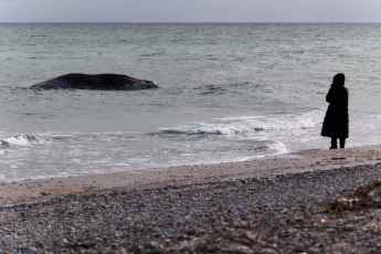 Tragischer Tod im Kattegat