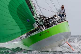 Plattnasenflunder mit Sinn für das Wesentliche