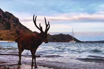 Mit dem Katamaran auf Inseltour