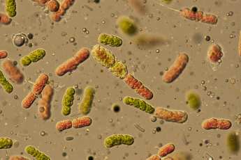 Ein “digitaler Zwilling” der Küste