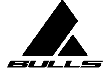 Bulls Logo