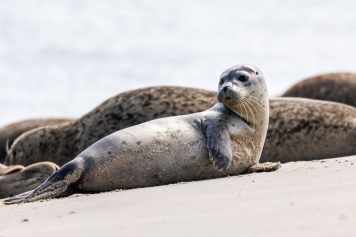 Babyboom ohne Wirkung