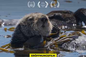 Cinemare läuft ab 5. Mai in Kiel