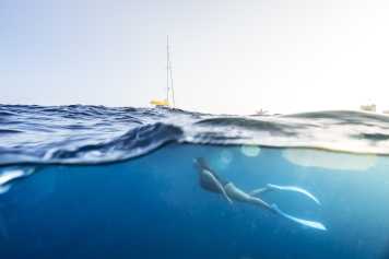 Turning the ocean into a lifestyle