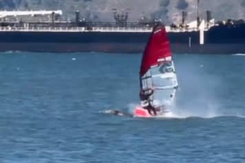 Windsurfer trifft auf Wal - Crash geht glimpflich aus