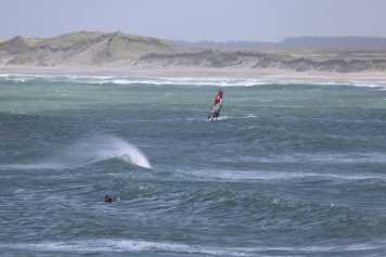 Bilder vom Sommersurf in Cold Hawaii