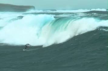Cash Berzolla kassiert den Vollwaschgang