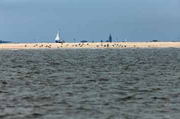 Kontrollieren bald Ranger auf Nord- und Ostsee?