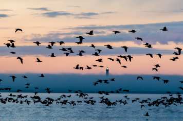 Leuchtturm mit geänderter Kennung