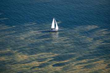 Starke Blaualgen-Blüte erfasst weite Teile der Ostsee