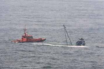 Orcas attackieren mehrere Segelboote vor spanischer Küste