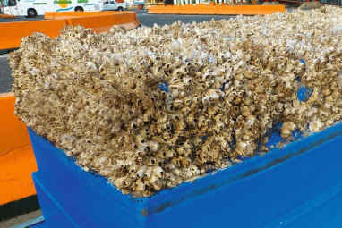 Water resistance due to fouling - BRAKED OUT
