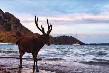 Mit dem Katamaran auf Inseltour