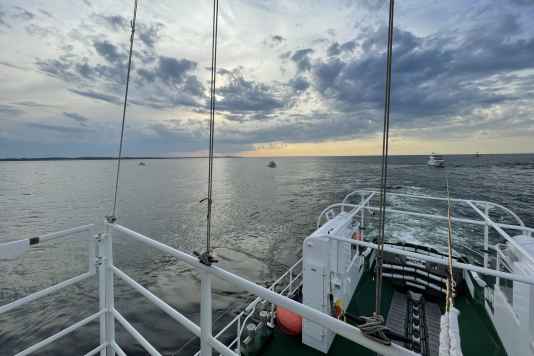 Vier Menschen und ein Hund von Motoryacht abgeborgen