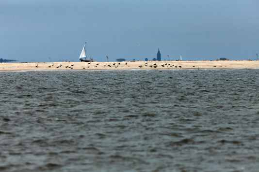 Kontrollieren bald Ranger auf Nord- und Ostsee?