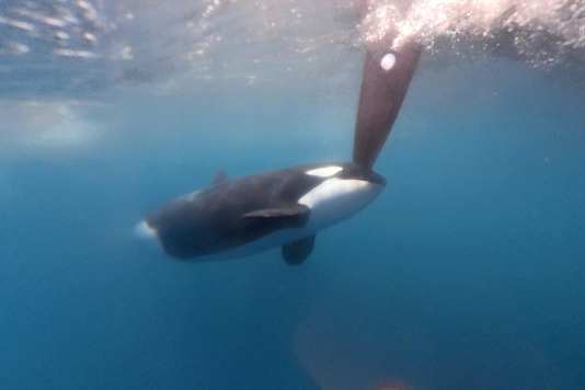 „Das Problem verschwindet nicht – es werden eher mehr"