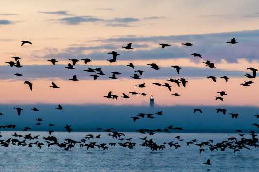 Leuchtturm mit geänderter Kennung