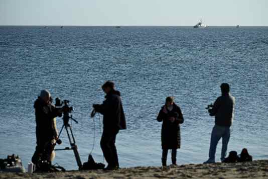 Ein Buckelwal im falschen Revier