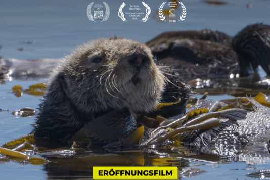 Cinemare a Kiel dal 5 maggio