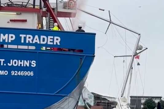 Frachtschiff rammt Deutsche Yacht