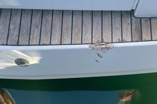 Richtig versichert in den Bootsurlaub