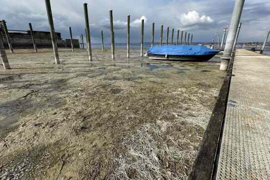 Was Skipper jetzt zu Quagga-Muschel, HVO-Diesel und neuen Regeln wissen müssen