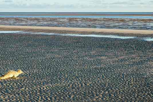 Das Rätsel auf der Sandbank