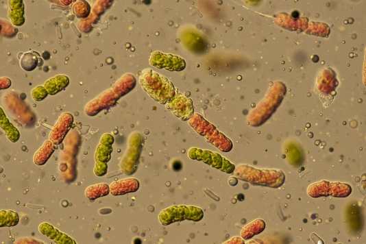 Un "jumeau numérique" du littoral