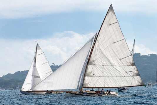 Übertakelter Nachbau erweckt mythischen Meeresvogel