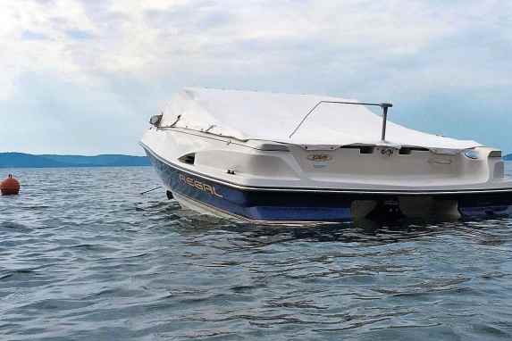 Solarbetriebene Vogelscheuche - Unruhestifter an Bord