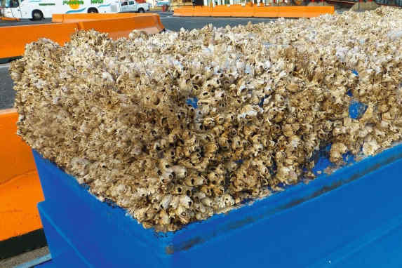 Water resistance due to fouling - BRAKED OUT