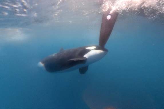 „Das Problem verschwindet nicht – es werden eher mehr"