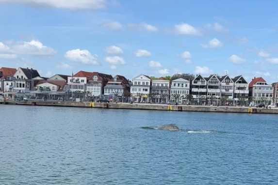 “Das größte Lebewesen, das ich je gesehen habe!”