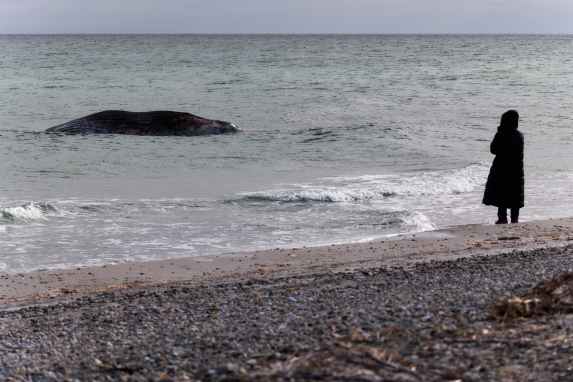 Tragischer Tod im Kattegat