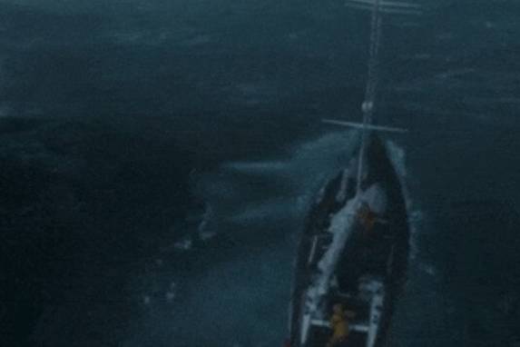 Überlebenskampf auf dem Pazifik