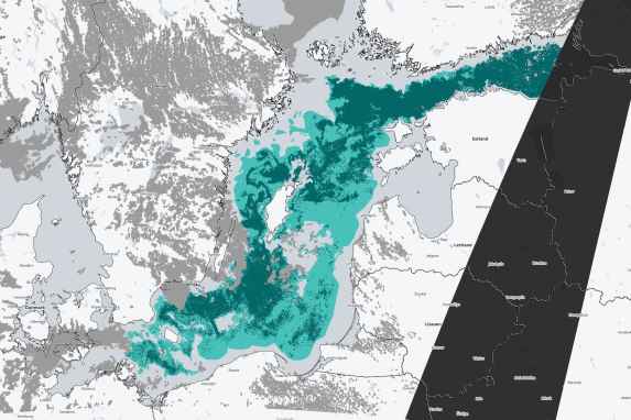 Algal bloom in large parts of the Baltic Sea