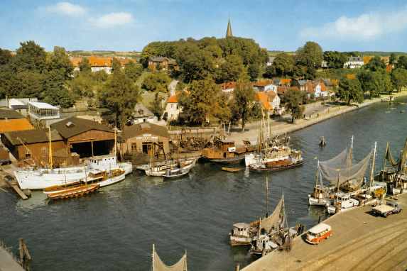Ein Projekt bewahrt, was die Ostsee verliert