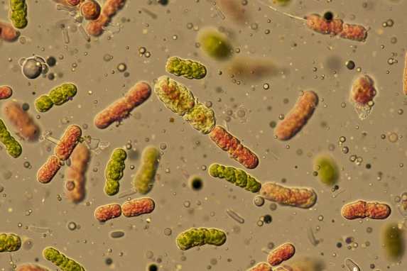 Ein “digitaler Zwilling” der Küste