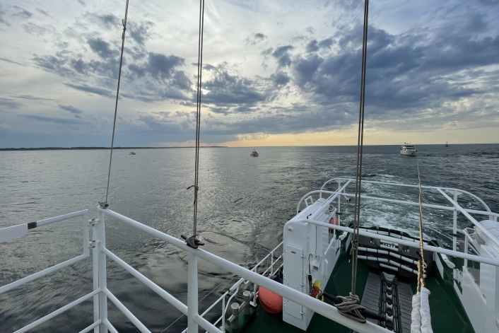 Vier Menschen und ein Hund von Motoryacht abgeborgen