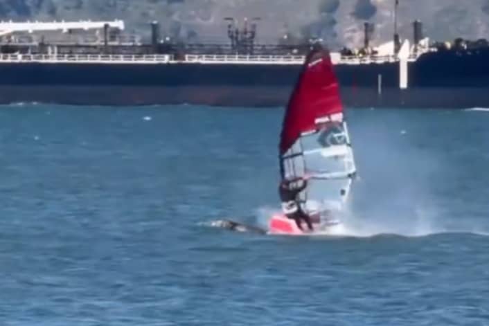 Windsurfer trifft auf Wal - Crash geht glimpflich aus