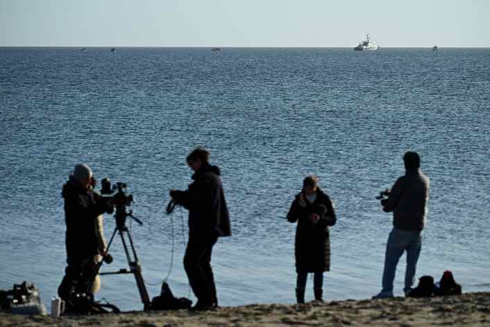 Ein Buckelwal im falschen Revier