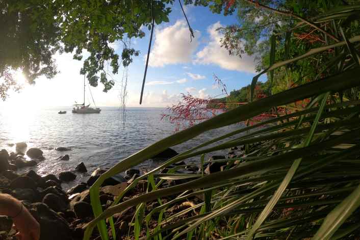Une année dans les Caraïbes : côtés ensoleillés et sombres d'un paradis de la voile
