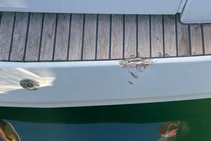 Richtig versichert in den Bootsurlaub